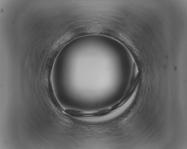 X0000062880681200601201820