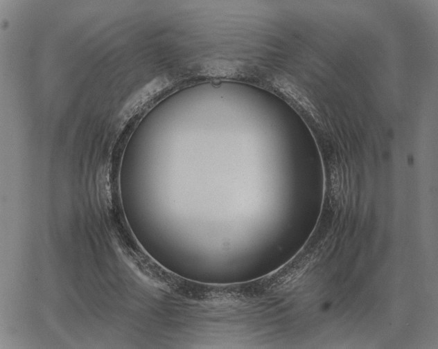 X0000062880682200601201820