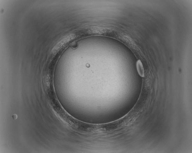 X0000062880683200601201820