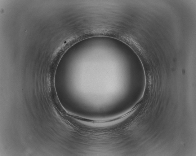 X0000062880684200601201820