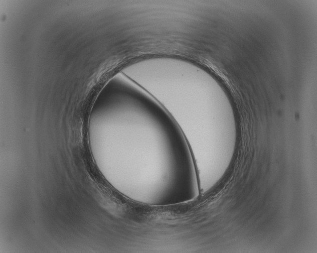 X0000062880685200601201820