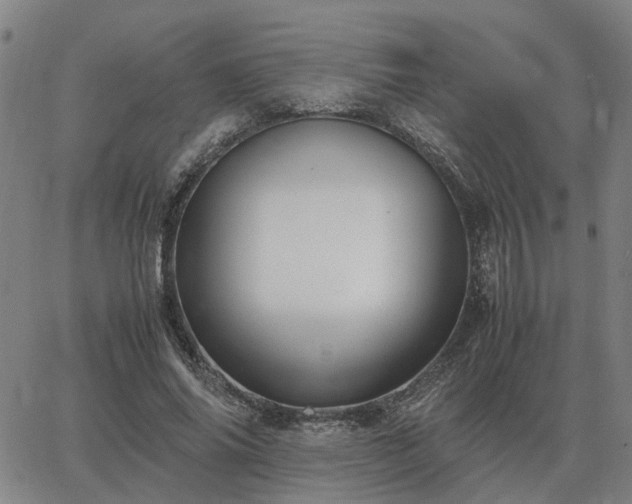 X0000062880686200601201820