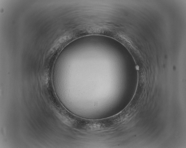 X0000062880687200601201820