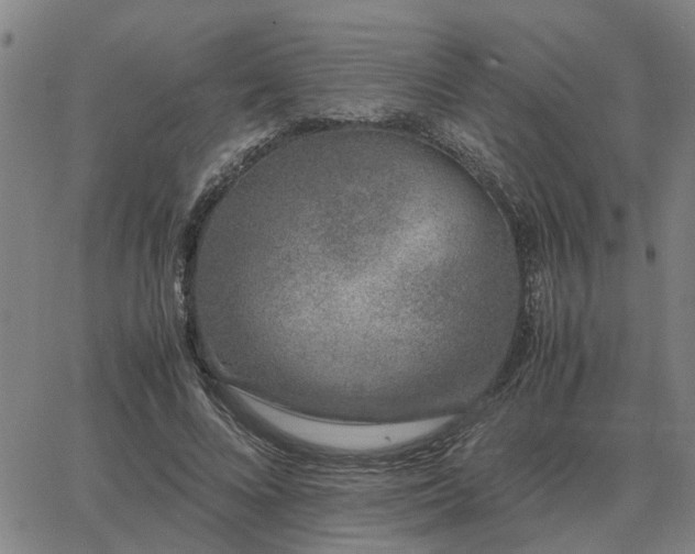 X0000062880688200601201820