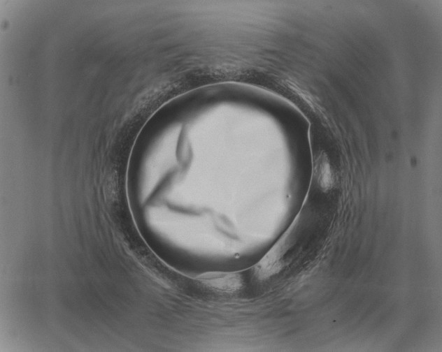 X0000062880689200601201820