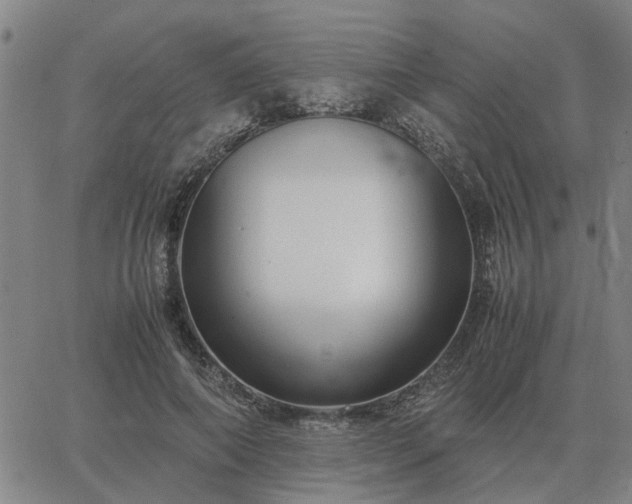 X0000062880690200601201820