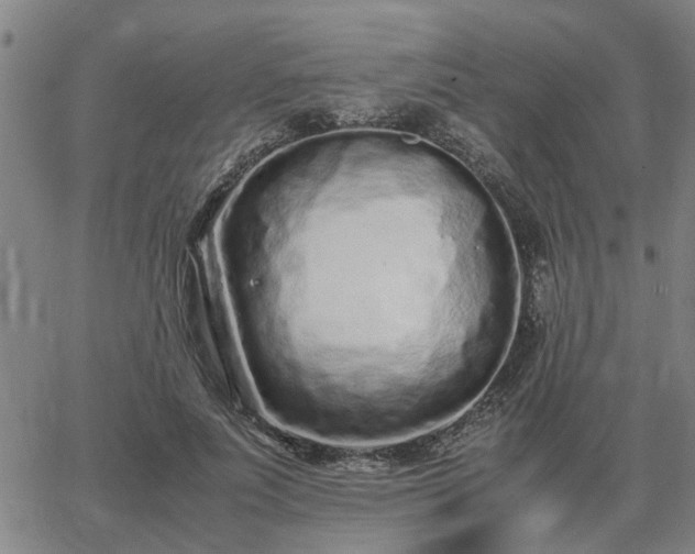 X0000062880691200601201820