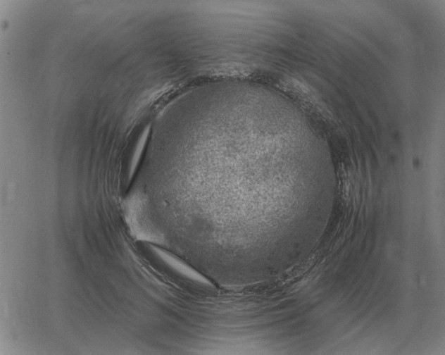 X0000062880692200601201820