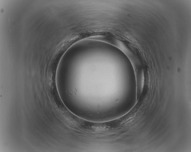 X0000062880693200601201820