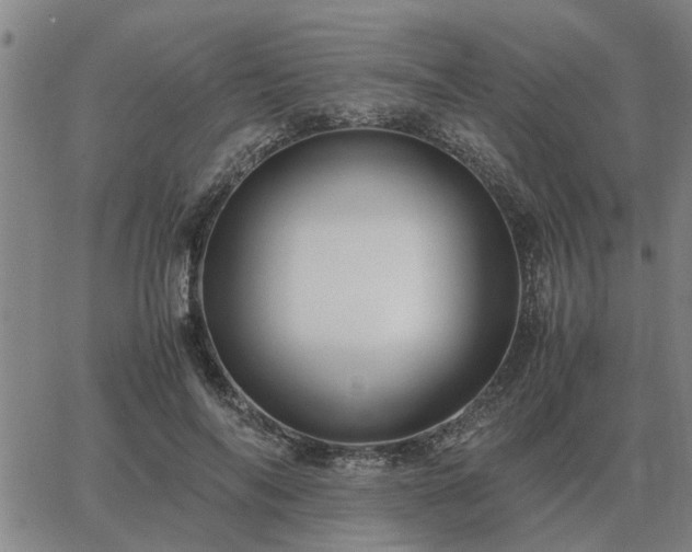 X0000062880694200601201820