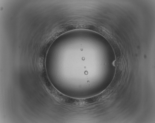 X0000062880695200601201820