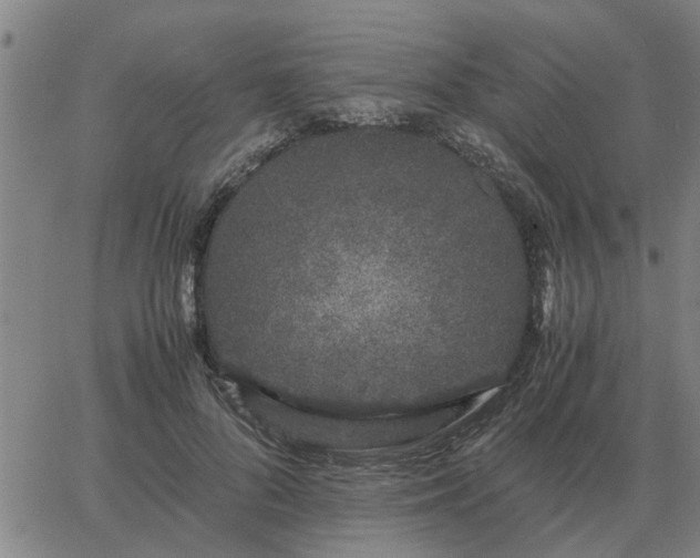 X0000062880696200601201820