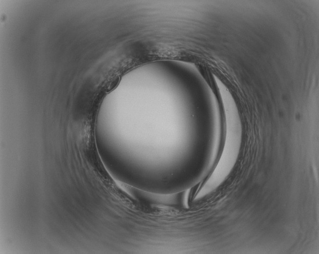 X0000062880697200601201820