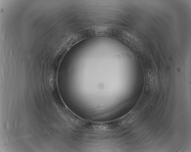 X0000062880698200601201820