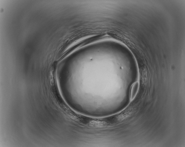 X0000062880699200601201820