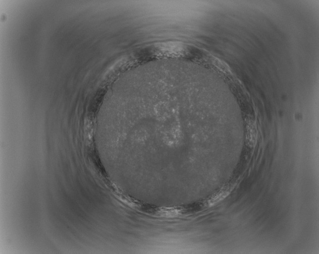 X0000062880701200601201820