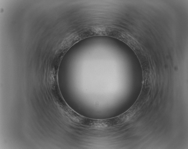 X0000062880702200601201820