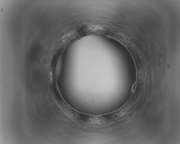 X0000062880703200601201820