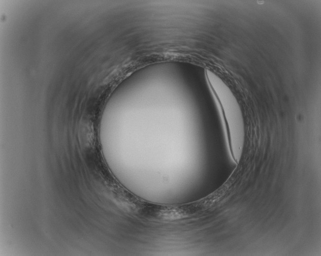 X0000062880704200601201820