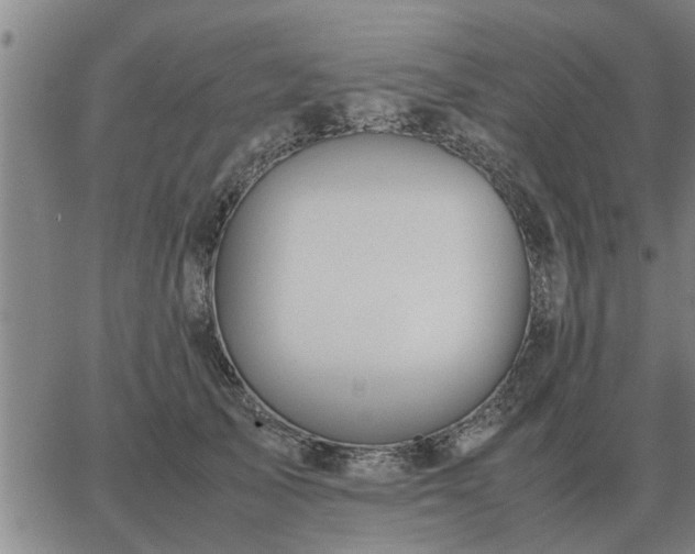 X0000062880705200601201820