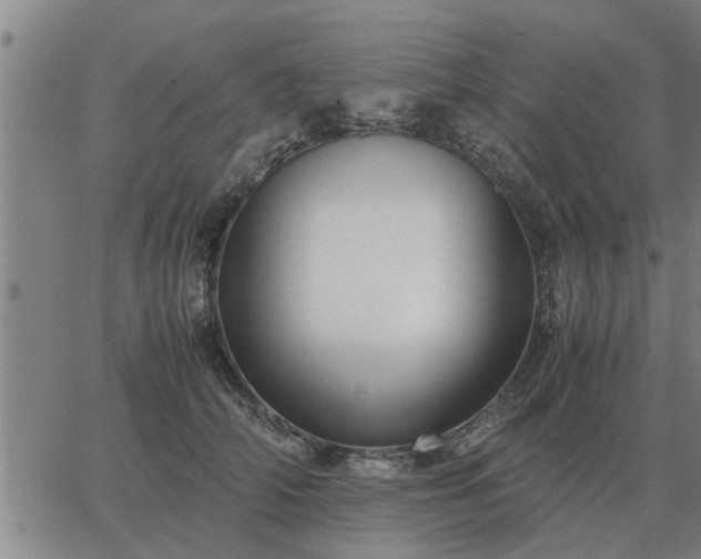 X0000062880706200601201820