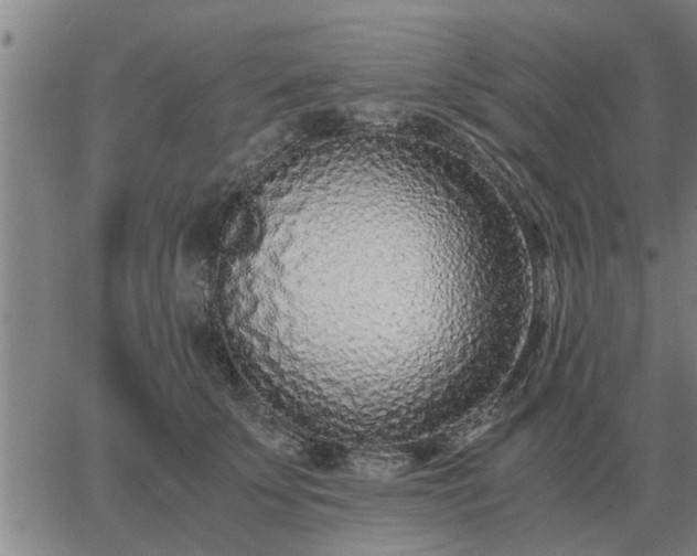 X0000062880707200601201820