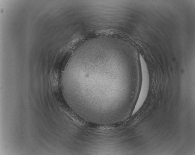 X0000062880708200601201820