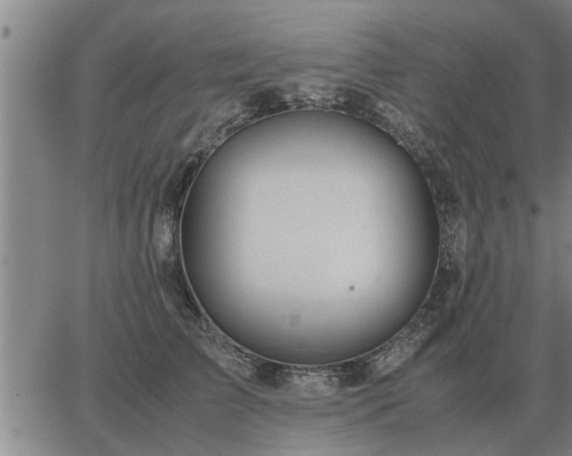 X0000062880709200601201820