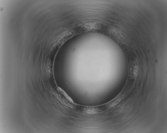 X0000062880710200601201820