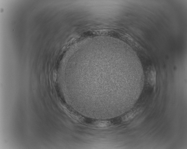 X0000062880711200601201820