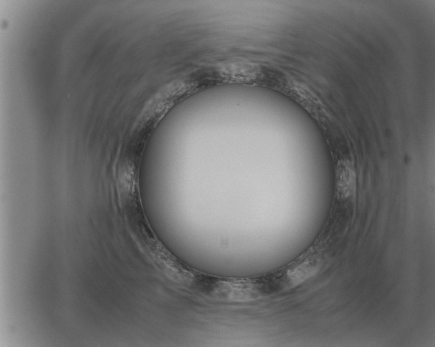 X0000062880713200601201820