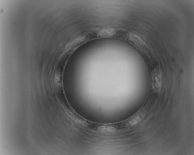 X0000062880714200601201820