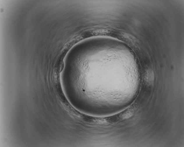 X0000062880715200601201820