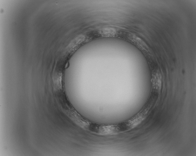 X0000062880717200601201820