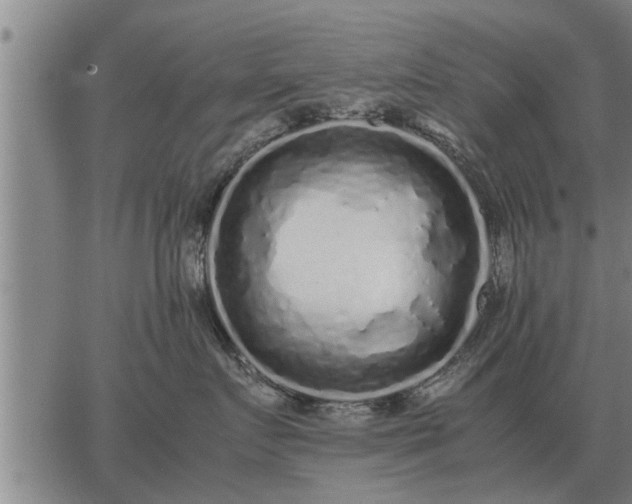 X0000062880719200601201820