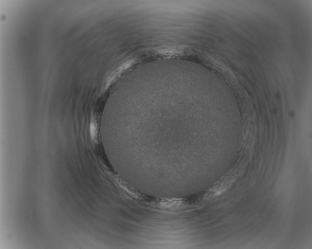 X0000062880720200601201820