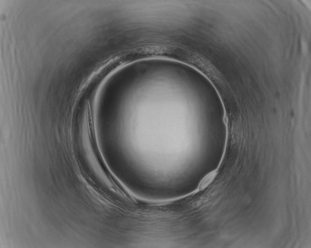 X0000062880722200601201819