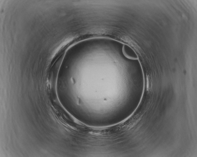 X0000062880723200601201819