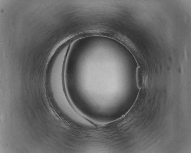 X0000062880724200601201819