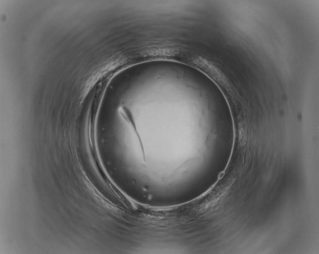 X0000062880725200601201819