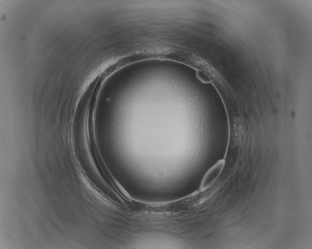 X0000062880726200601201819