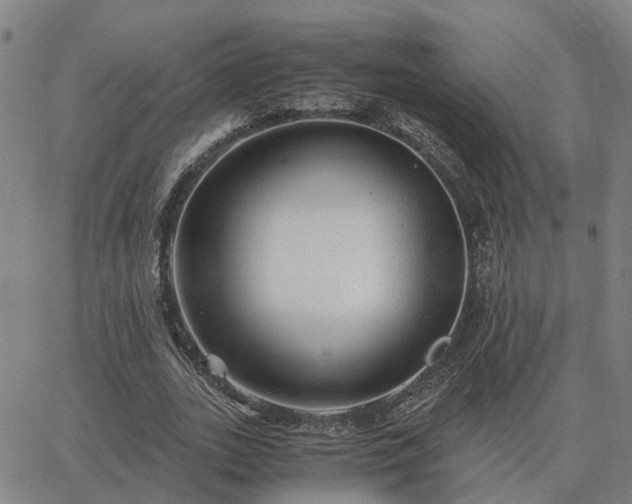 X0000062880727200601201819