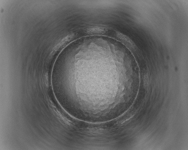 X0000062880729200601201819