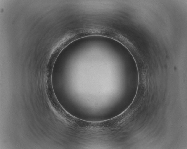 X0000062880730200601201819