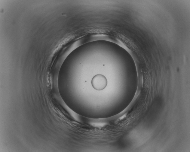 X0000062880731200601201819