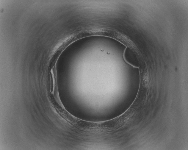 X0000062880732200601201819