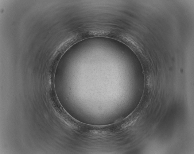 X0000062880733200601201819