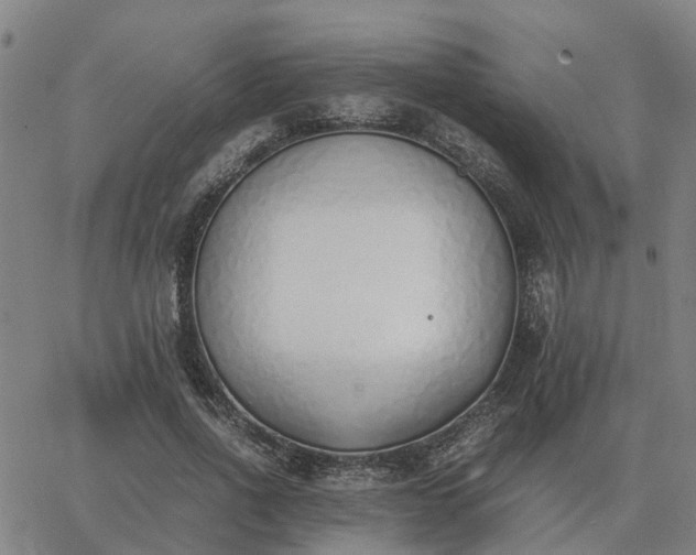 X0000062880734200601201819