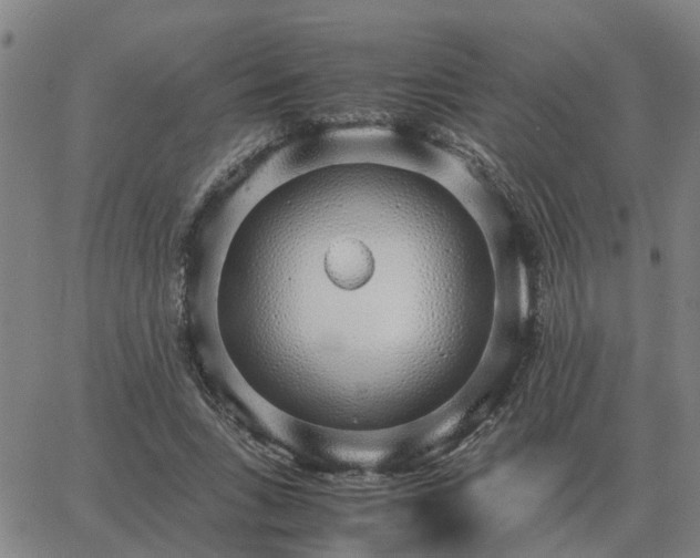 X0000062880735200601201819