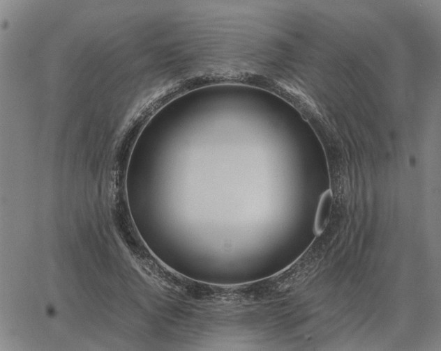 X0000062880736200601201819